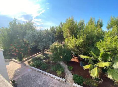 Villa Adelaide Челие Месапика Екстериор снимка